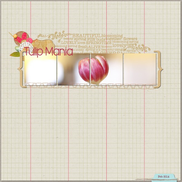Tulip Mania