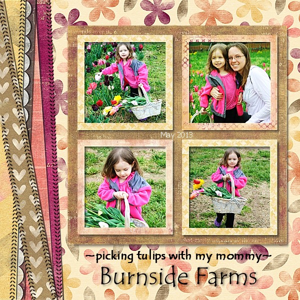 Tulip Picking 2013