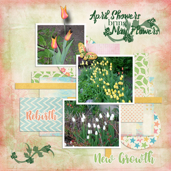 Tulip Time