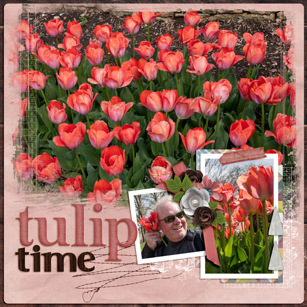 tulip time