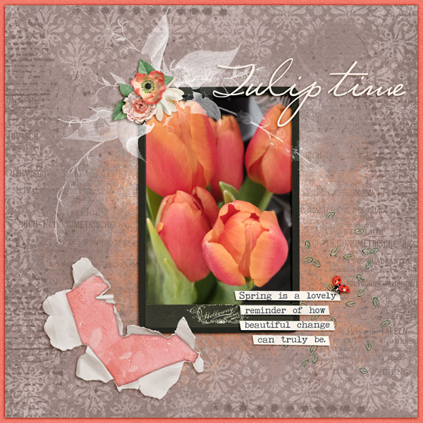 Tulip Time