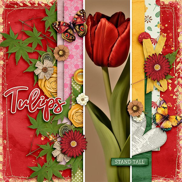 Tulip