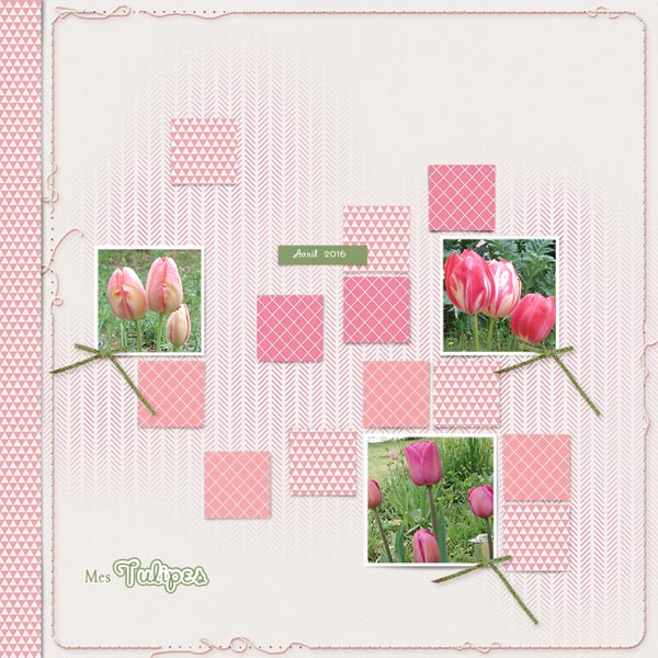 Tulipes