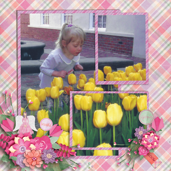 Tulips 2006