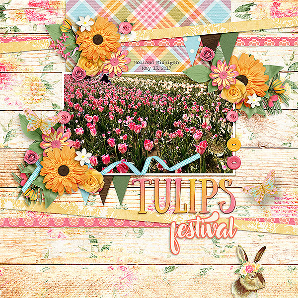Tulips festival