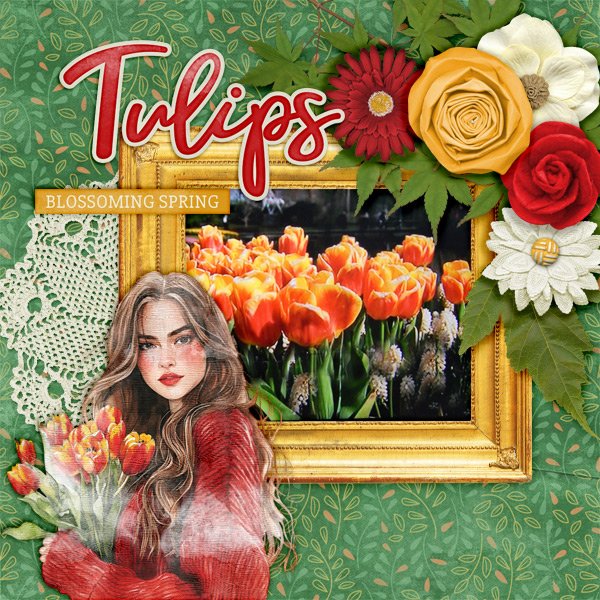 Tulips.jpg