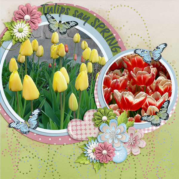 Tulips Say Spring