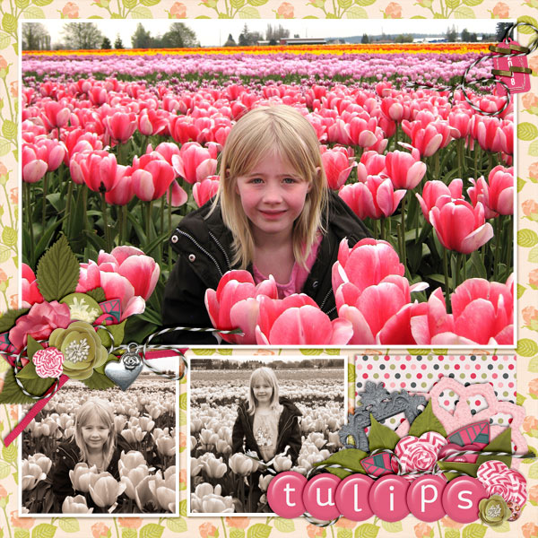 Tulips