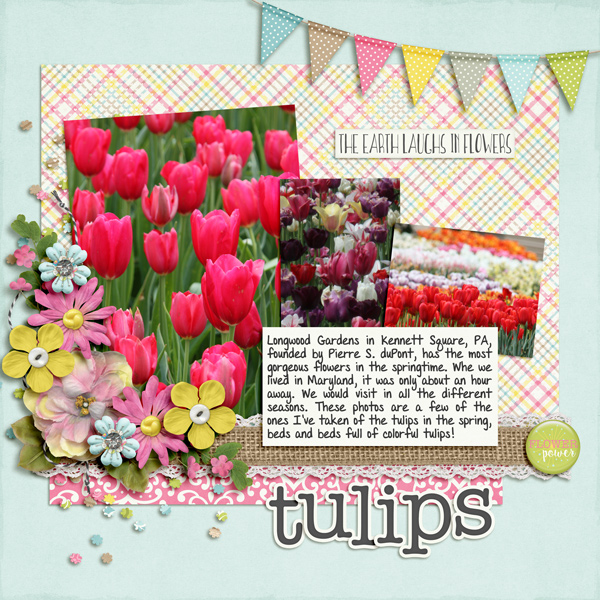 Tulips