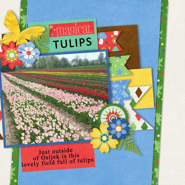 Tulips