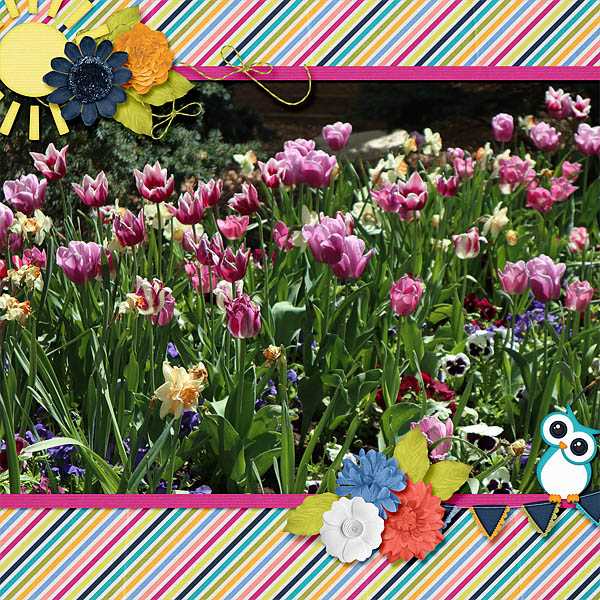 Tulips