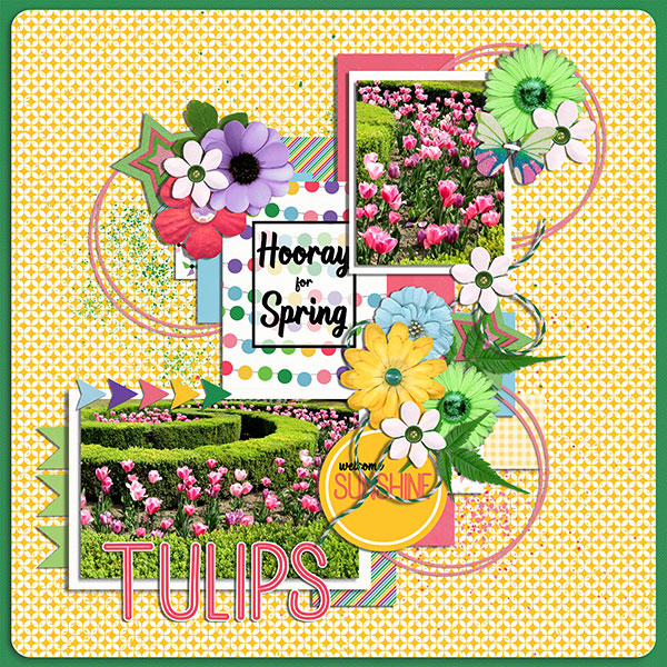 tulips