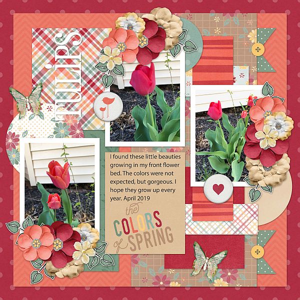 Tulips