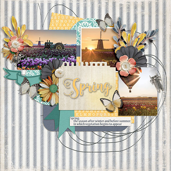 Tulips