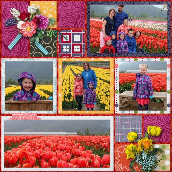 Tulips