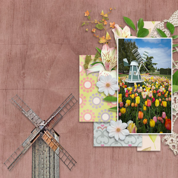 Tulips
