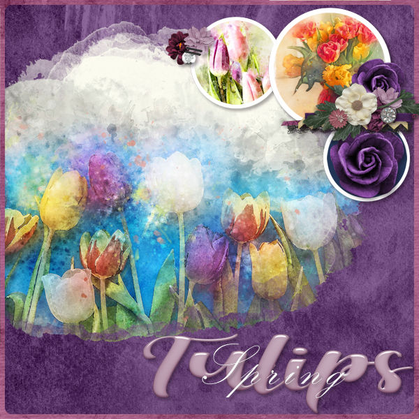 Tulips