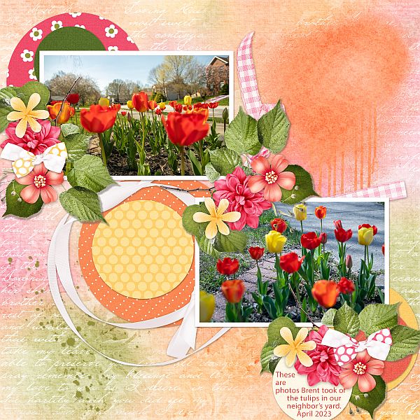 Tulips