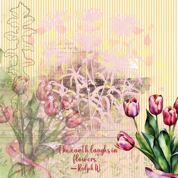 Tulips