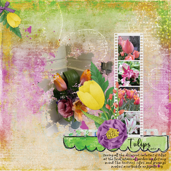 Tulips