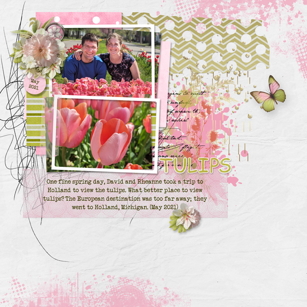 Tulips