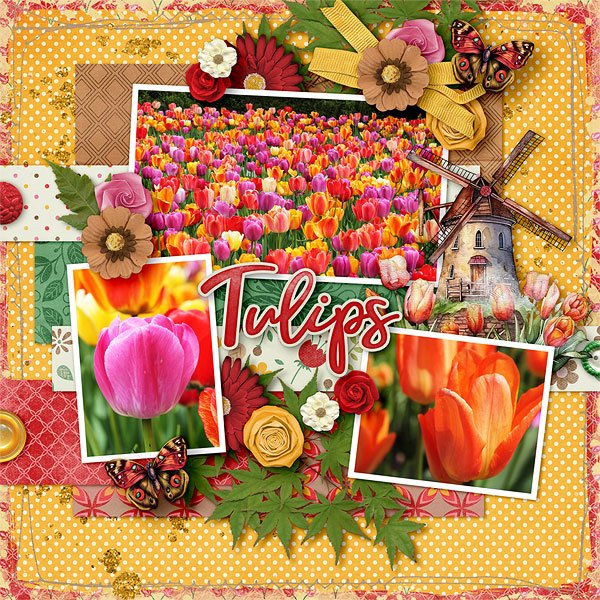 Tulips