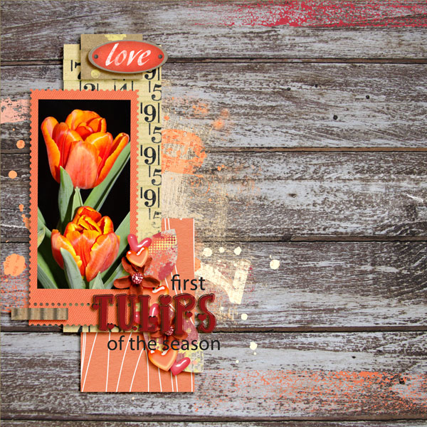 Tulips