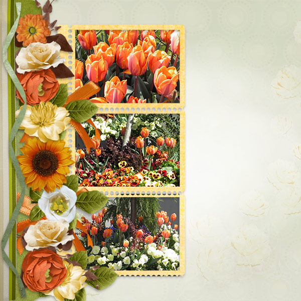 Tulips3