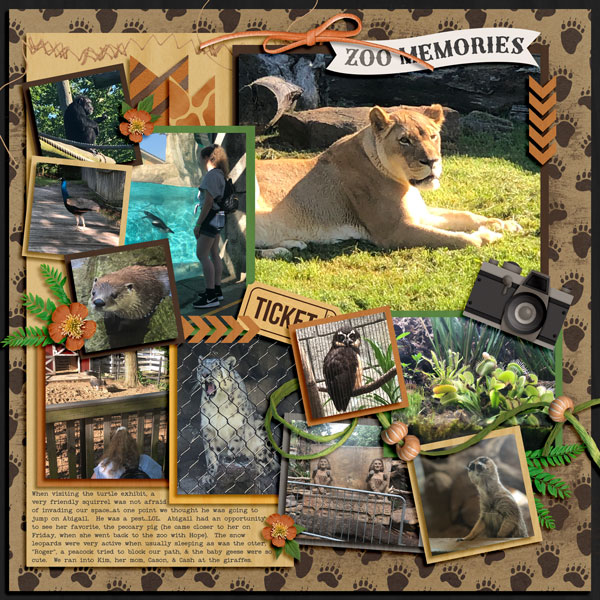 Tulsa Zoo finally reopened last week May 2020 - 2