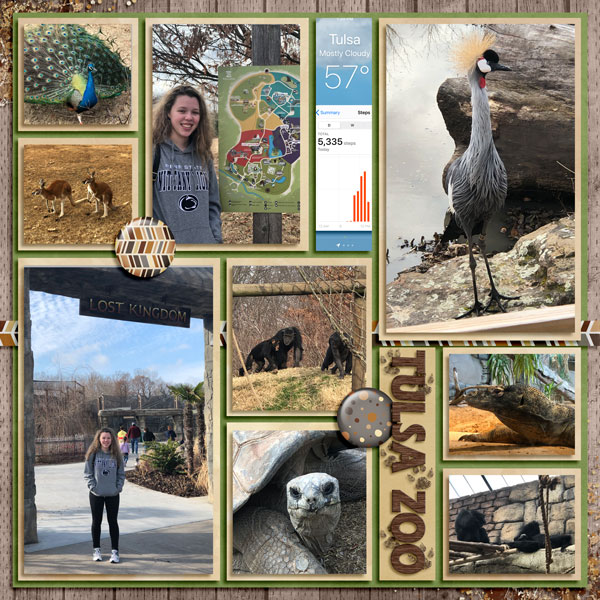 Tulsa Zoo Jan 2020 - 1
