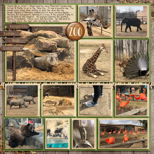 Tulsa Zoo Jan 2020 - 2