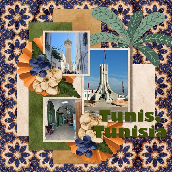 Tunis-Tinci_2025DECTC_2.jpg