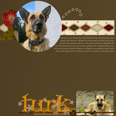 Turk
