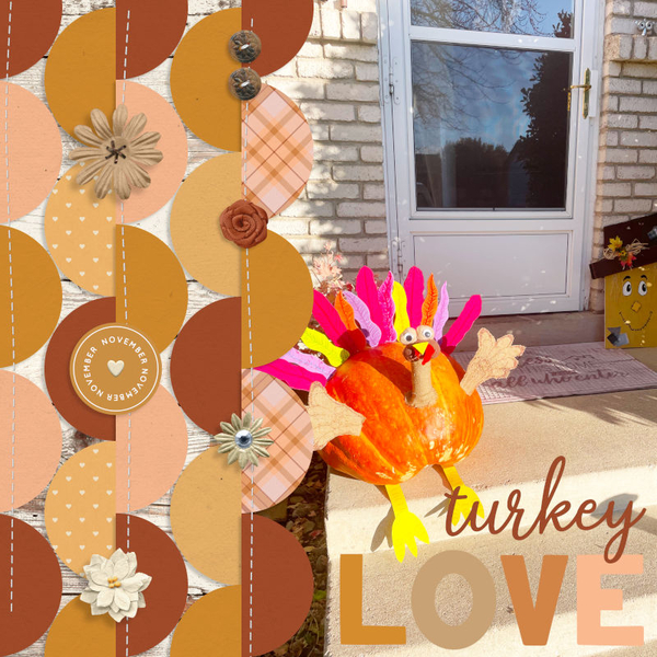 Turkey Love