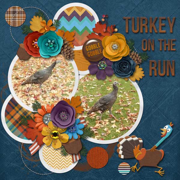 turkey on the run
