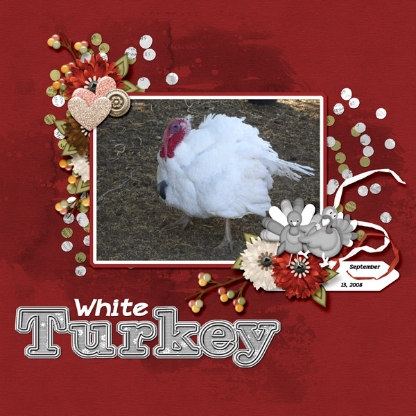 Turkey_white_turkey_small