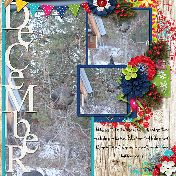 Turkeys in the Tree