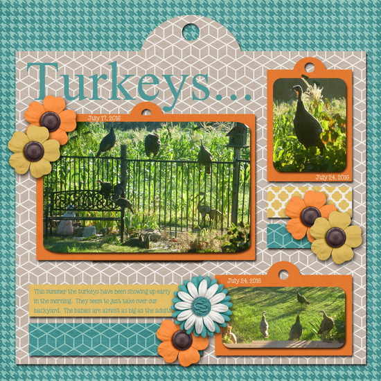 Turkeys