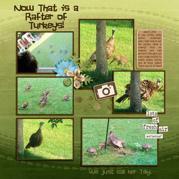 Turkeys!!