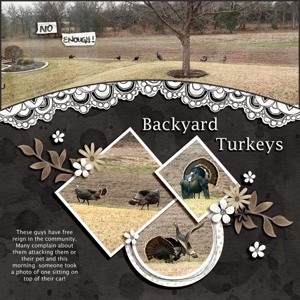 Turkeys