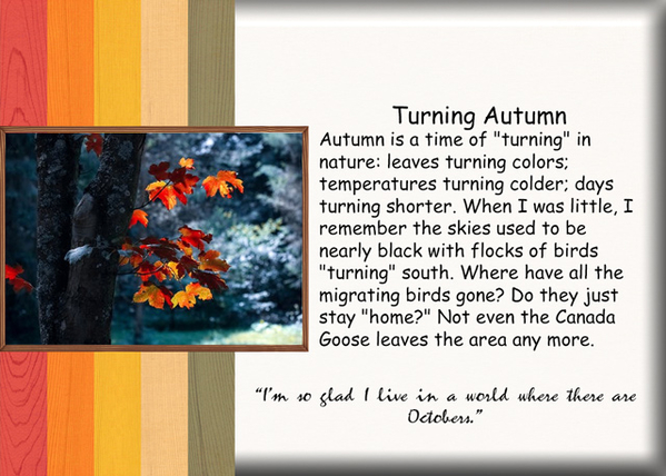 Turning Autumn