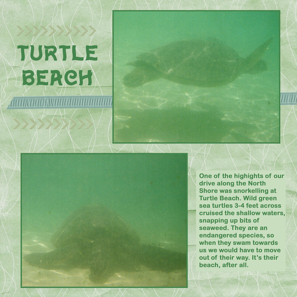 Turtle Beach, Oahu