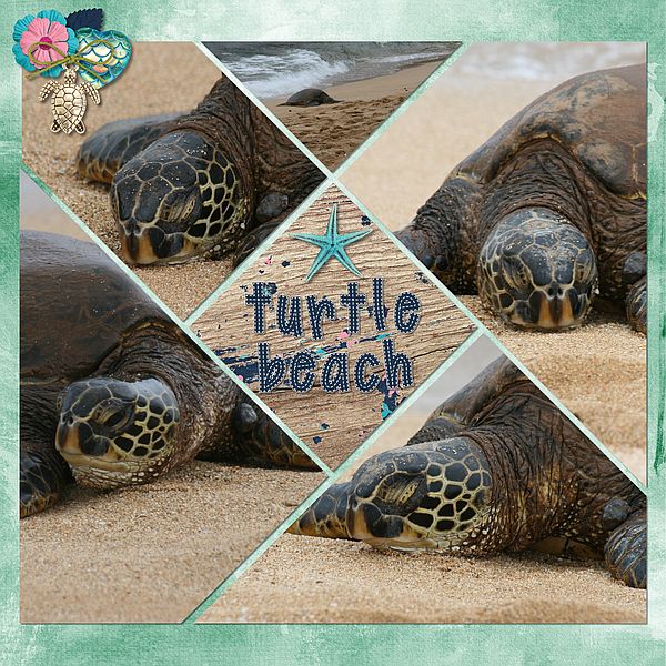 Turtle Beach