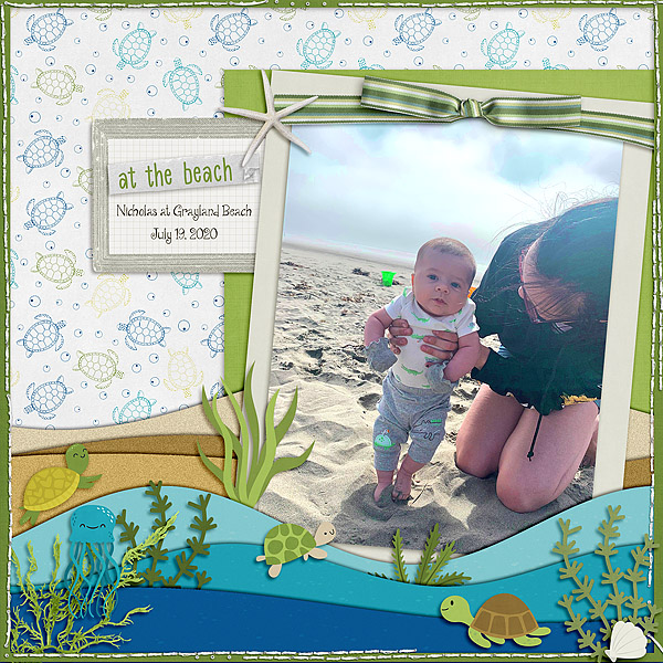Turtle Beach