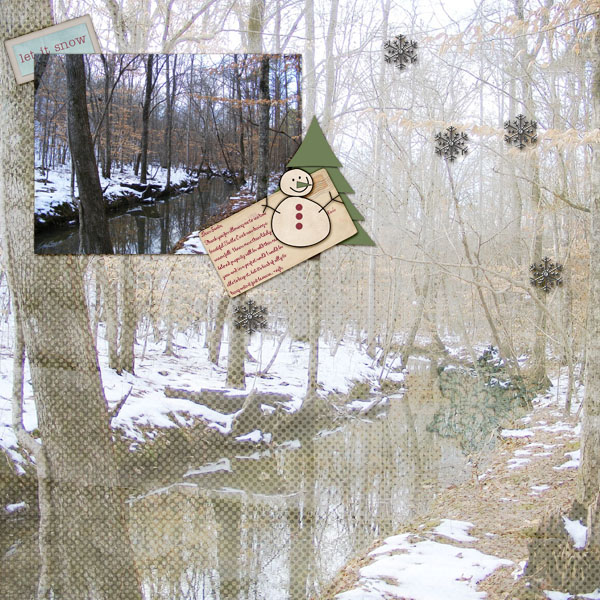 Turtle Creek In Winter
