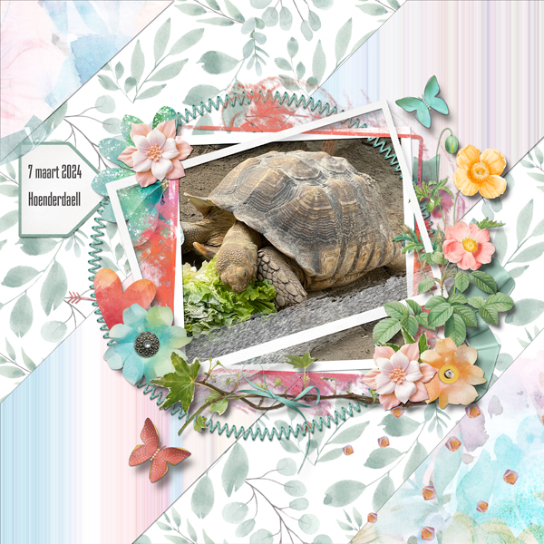 Turtle Food