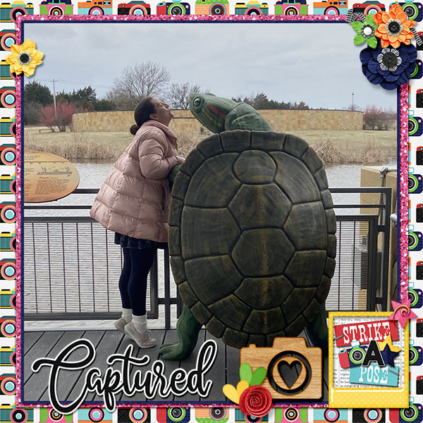 Turtle Kisses