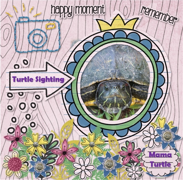 Turtle Mama