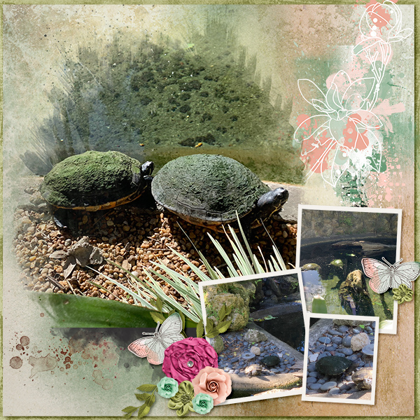 Turtle Pond