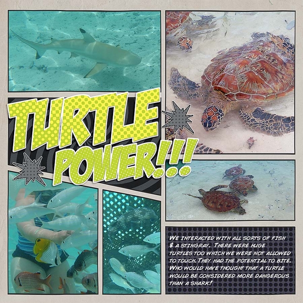 Turtle Power